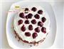 黑森林蛋糕的做法图解13