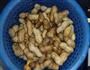 盐水花生的做法图解3