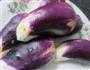 肉末茄子的做法图解1