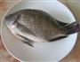 清蒸罗非鱼的做法图解1