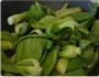 冻豆腐炒油菜的做法图解4