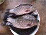 焖酥鱼的做法图解1