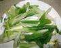葱烧黄瓜片的做法图解2