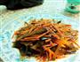 萝卜海带丝的做法图解5