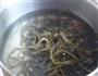 香辣海带丝的做法图解4