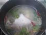 清炖鲳鱼汤的做法图解7
