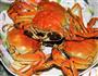 清蒸大闸蟹的做法图解4