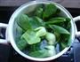 香菇菜心的做法图解3