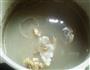 木瓜龙骨汤的做法图解4