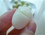 小兔子鹌鹑蛋的做法图解4