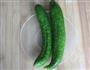 拌黄瓜的做法图解1