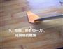 胡萝卜蝴蝶的做法图解9