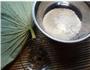 香甜荷叶粥的做法图解1