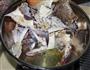 香辣蟹的做法步骤6