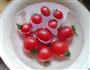 糖渍圣女果的做法图解1