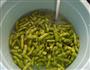 炝毛豆的做法图解3