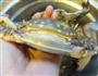 清蒸大螃蟹的做法图解2
