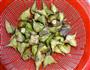 菱角炖肉的做法图解1