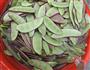 腌扁豆的做法图解6