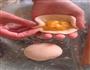流沙包的做法图解3