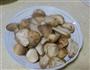 耗油草菇的做法图解4