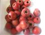 自制山楂罐头的做法图解4