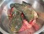 酱炖鲶鱼的做法图解3