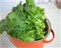 花生酱拌菠菜的做法图解1