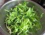 老醋拌苦菊的做法图解1