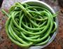 自晒干豇豆的做法图解4