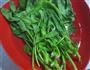 陈醋菠菜的做法图解1