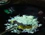 不粘锅的蛋炒饭的做法图解5