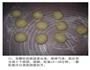 小火腿肠包的做法图解11