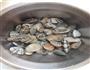 铁锅蛤蜊鸡的做法图解3