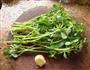 酸甜马齿苋的做法图解1