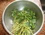 酸甜马齿苋的做法图解2