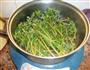 酸甜马齿苋的做法图解3