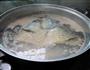 鱼头萝卜汤的做法图解3