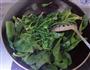 姜汁菠菜的做法图解3