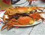 清蒸螃蟹的做法图解3
