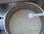 自制乳酪的做法图解8