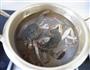 螃蟹粉丝煲的做法图解8