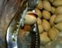 烤白果的做法图解2