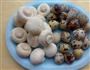 蘑菇烩鹌鹑蛋的做法图解1