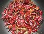 五香辣椒粉的做法图解5