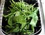 温拌菠菜的做法图解1