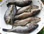 酱蒸小海鱼的做法图解4