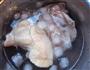 口水鸡的做法图解3