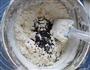 黑芝麻油酥饼干的做法图解5