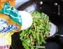剁椒芹菜炒黄豆的做法图解8